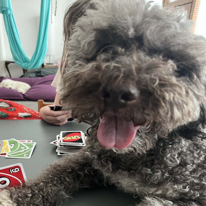 Utu osallistuu Uunoon.